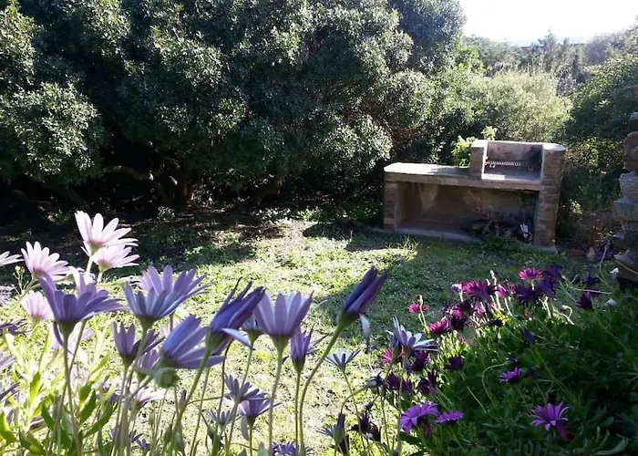 דירה L' Elicriso, A Pochi Passi Dal Mare Con Giardino Privato - The Elicriso, A Few Meters From The Sea, With Private Garden סטינטינו