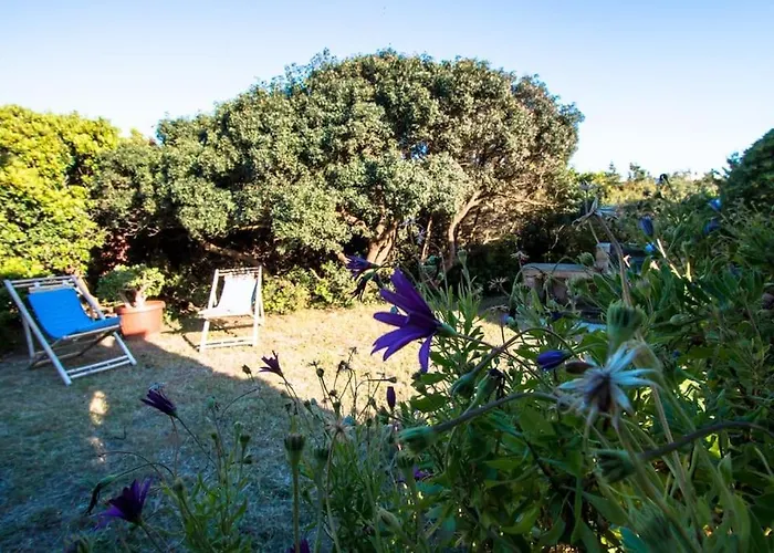 L' Elicriso, A Pochi Passi Dal Mare Con Giardino Privato - The Elicriso, A Few Meters From The Sea, With Private Garden דירה