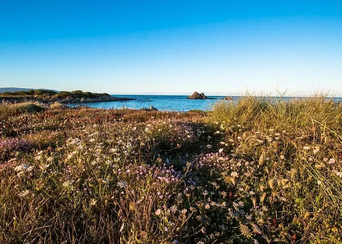 L' Elicriso, A Pochi Passi Dal Mare Con Giardino Privato - The Elicriso, A Few Meters From The Sea, With Private Garden דירה *