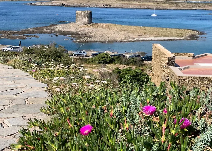 דירה L' Elicriso, A Pochi Passi Dal Mare Con Giardino Privato - The Elicriso, A Few Meters From The Sea, With Private Garden סטינטינו