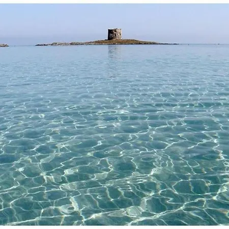 L' Elicriso, A Pochi Passi Dal Mare Con Giardino Privato - The Elicriso, A Few Meters From The Sea, With Private Garden 斯廷蒂诺