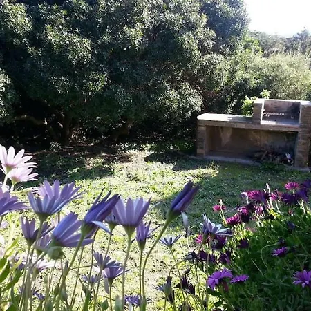 Apartment L' Elicriso, A Pochi Passi Dal Mare Con Giardino Privato - The Elicriso, A Few Meters From The Sea, With Private Garden Stintino