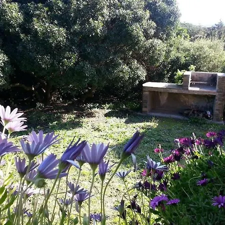 Apartment L' Elicriso, A Pochi Passi Dal Mare Con Giardino Privato - The Elicriso, A Few Meters From The Sea, With Private Garden Stintino