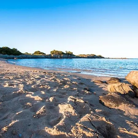 Appartamento L' Elicriso, A Pochi Passi Dal Mare Con Giardino Privato - The Elicriso, A Few Meters From The Sea, With Private Garden *