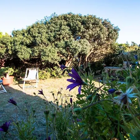 L' Elicriso, A Pochi Passi Dal Mare Con Giardino Privato - The Elicriso, A Few Meters From The Sea, With Private Garden Appartement