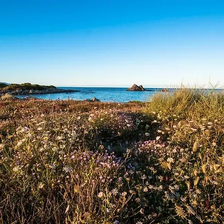 L' Elicriso, A Pochi Passi Dal Mare Con Giardino Privato - The Elicriso, A Few Meters From The Sea, With Private Garden Apartment *