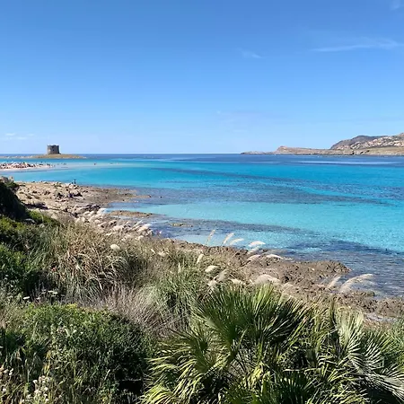 L'elicriso - A Pochi Passi Dal Mare Con Giardino Privato - The Elicriso - A Few Meters From The Sea, With Private Garden Apartment