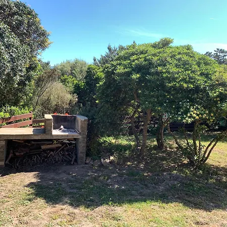 L'elicriso - A Pochi Passi Dal Mare Con Giardino Privato - The Elicriso - A Few Meters From The Sea, With Private Garden *